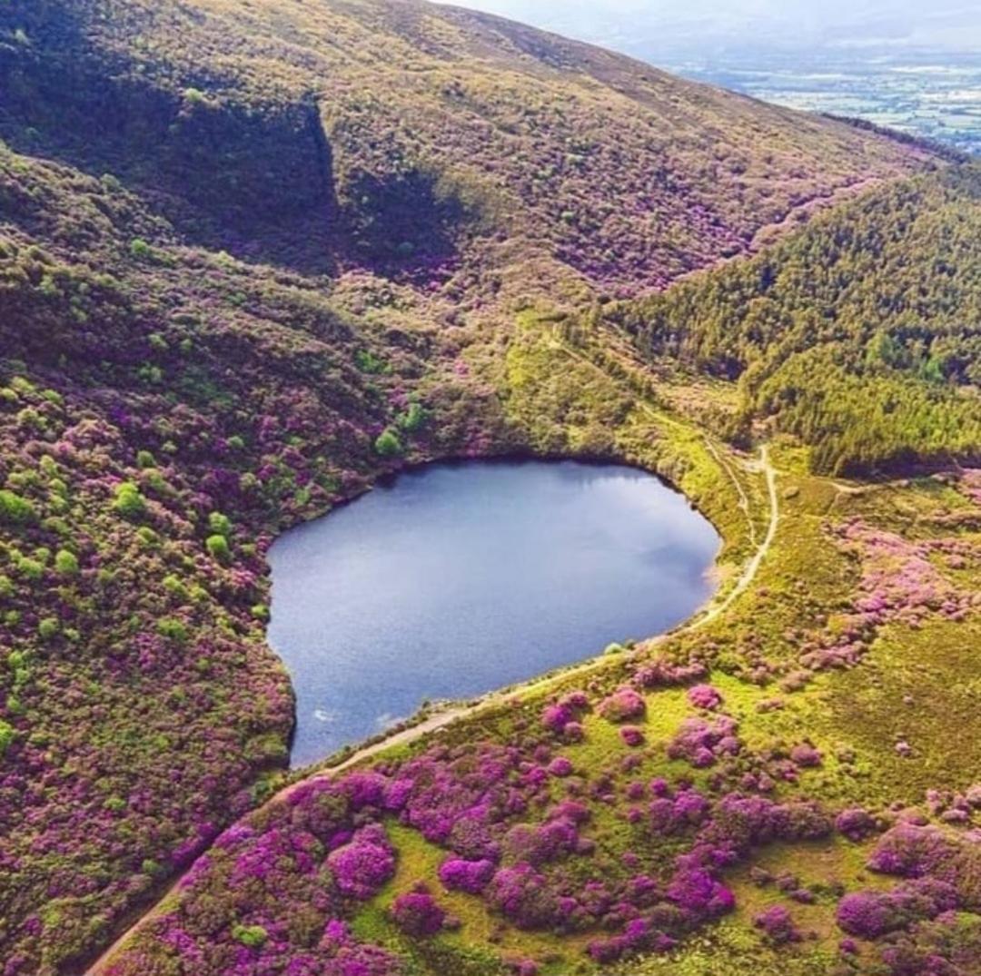 Kozy Kabin Вотафорд Экстерьер фото